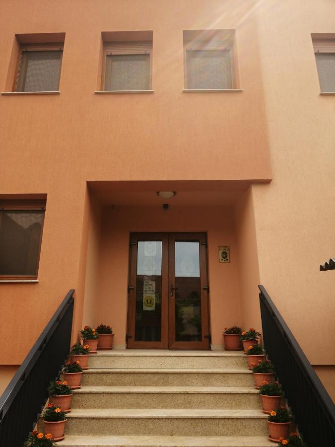 Pensiunea Damiris Băile Felix Eksteriør bilde